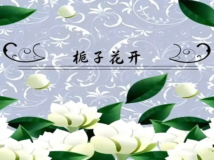 栀子花的初夏(共二十六章）-TK剧场