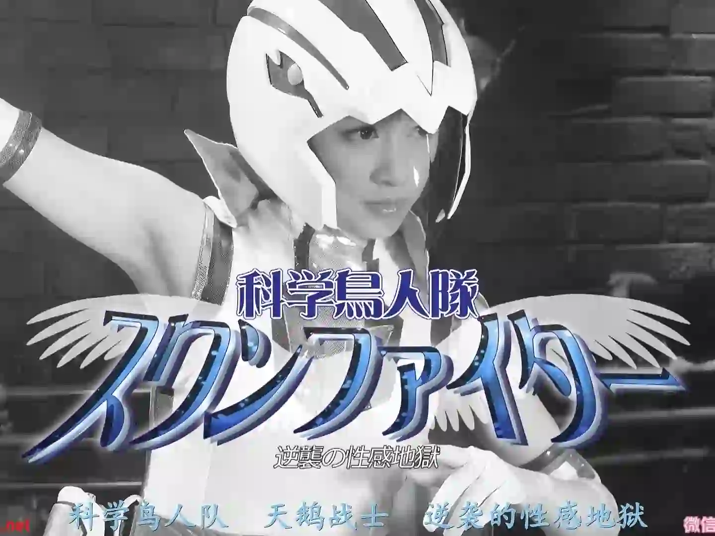 女战士系列 科学鸟人队天鹅战士逆袭的性感地狱-TK剧场